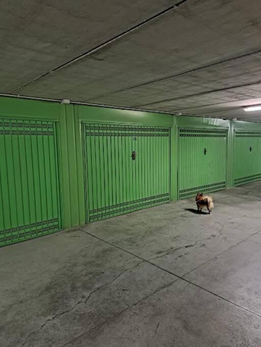 Centrale Vicino Spiagge E Ciclabile + Box-Auto ! Apartment Arma di Taggia Bagian luar foto