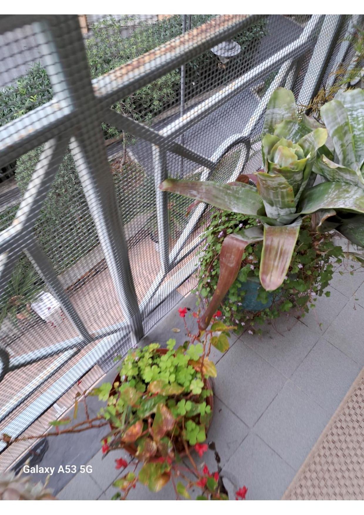 Centrale Vicino Spiagge E Ciclabile + Box-Auto ! Apartment Arma di Taggia Bagian luar foto